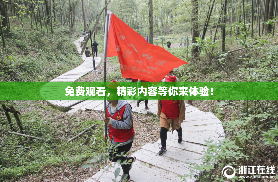 免费观看，精彩内容等你来体验！