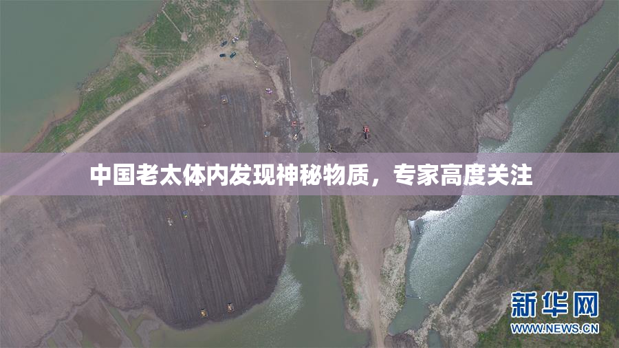 中国老太体内发现神秘物质，专家高度关注