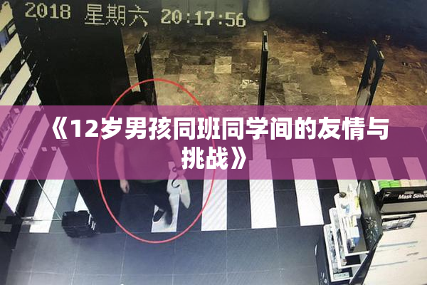 《12岁男孩同班同学间的友情与挑战》