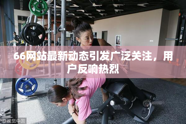 66网站最新动态引发广泛关注，用户反响热烈