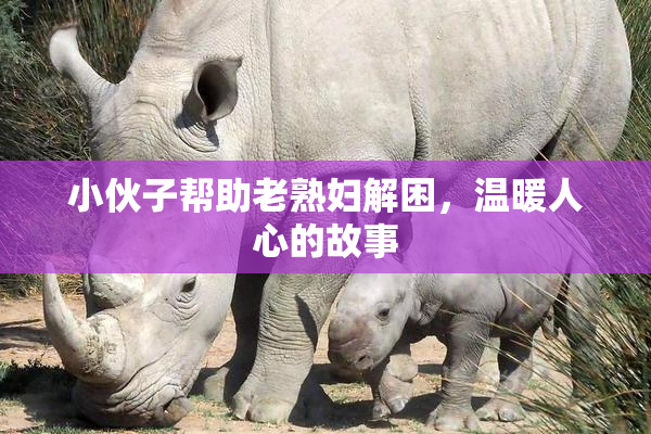 小伙子帮助老熟妇解困，温暖人心的故事