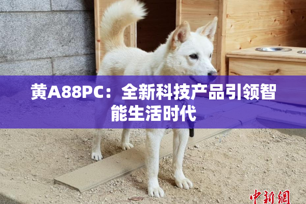 黄A88PC：全新科技产品引领智能生活时代
