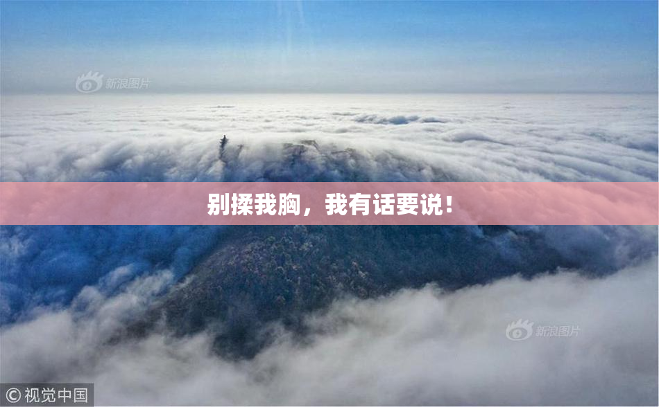 别揉我胸，我有话要说！