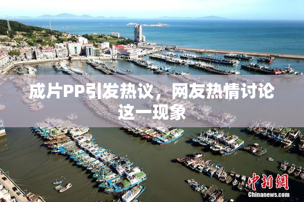 成片PP引发热议，网友热情讨论这一现象