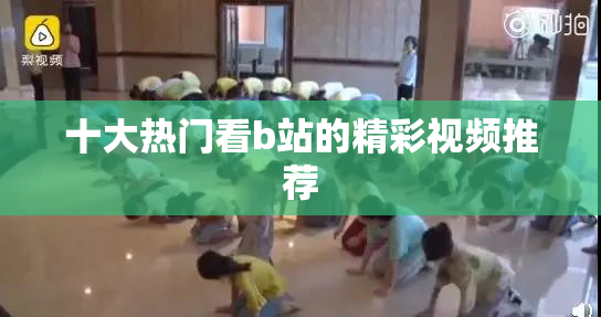 十大热门看b站的精彩视频推荐