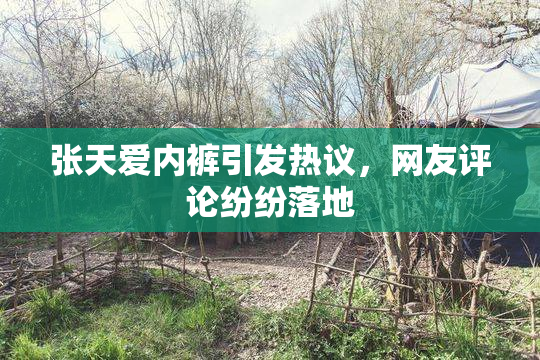 张天爱内裤引发热议，网友评论纷纷落地