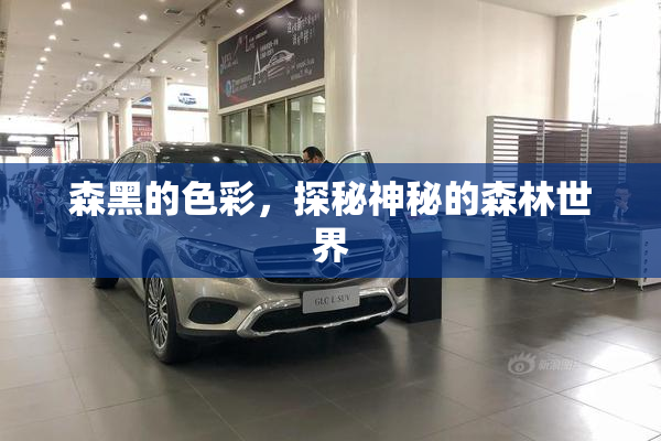 森黑的色彩，探秘神秘的森林世界