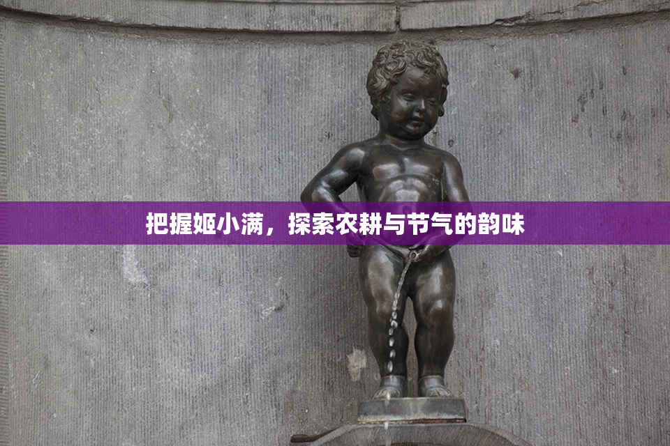 把握姬小满，探索农耕与节气的韵味