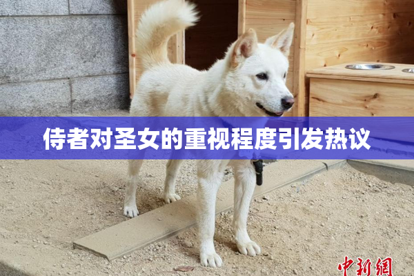 侍者对圣女的重视程度引发热议