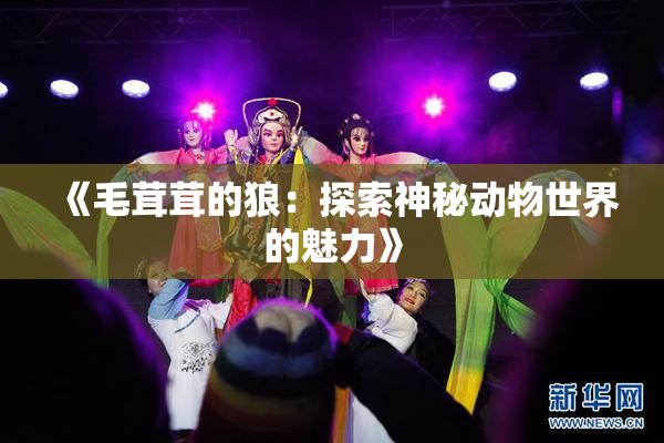 《毛茸茸的狼：探索神秘动物世界的魅力》