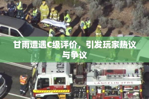 甘雨遭遇C级评价，引发玩家热议与争议