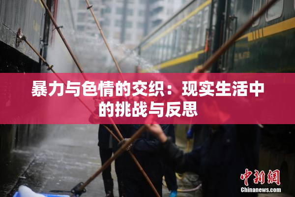 暴力与色情的交织：现实生活中的挑战与反思