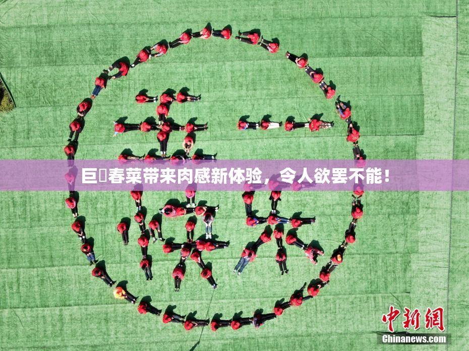 巨凥春菜带来肉感新体验，令人欲罢不能！