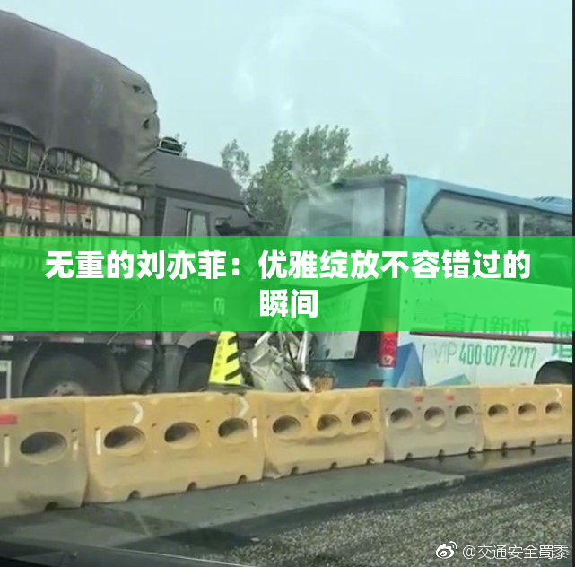 无重的刘亦菲：优雅绽放不容错过的瞬间