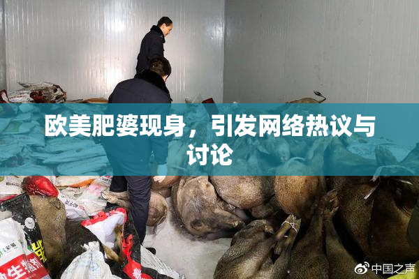 欧美肥婆现身，引发网络热议与讨论