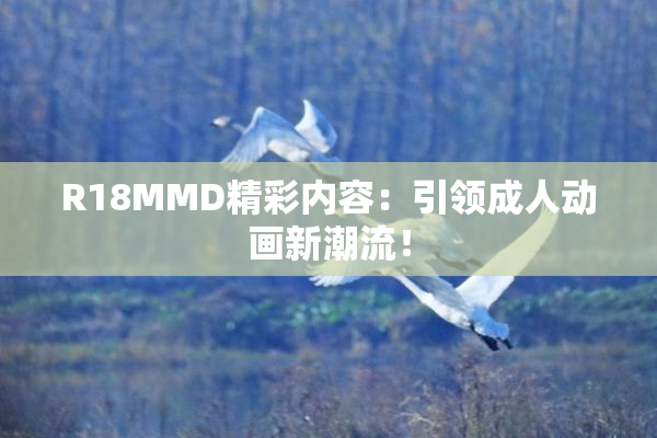 R18MMD精彩内容：引领成人动画新潮流！