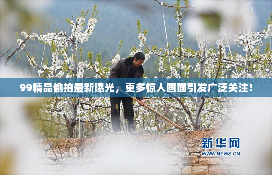 99精品偷拍最新曝光，更多惊人画面引发广泛关注！