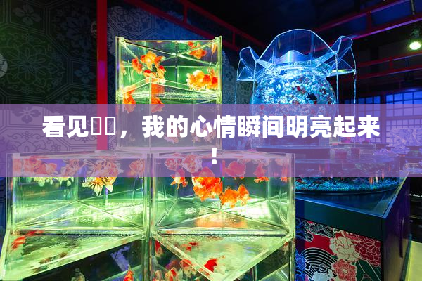 看见妺妺，我的心情瞬间明亮起来！