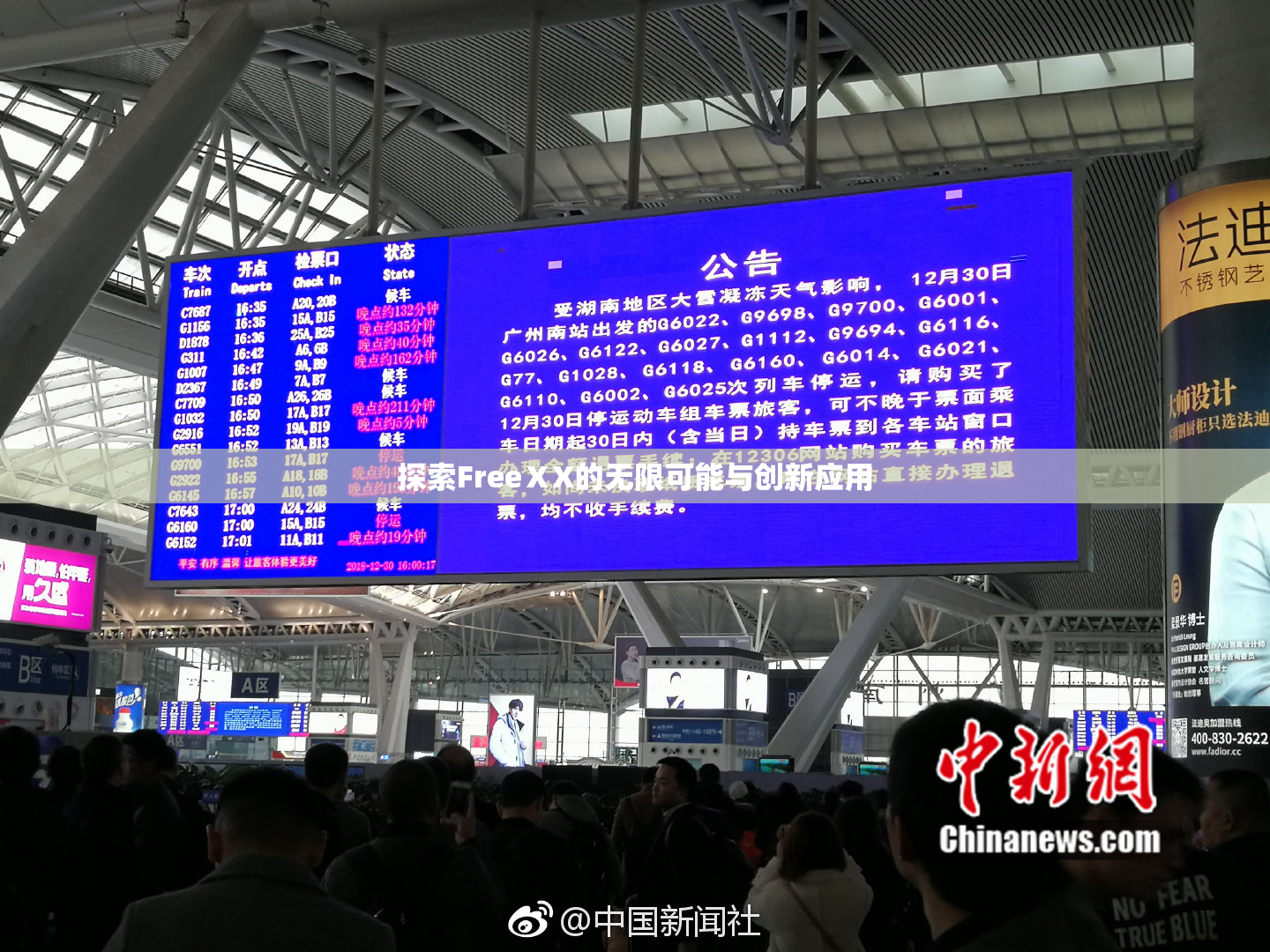 探索FreeⅩX的无限可能与创新应用