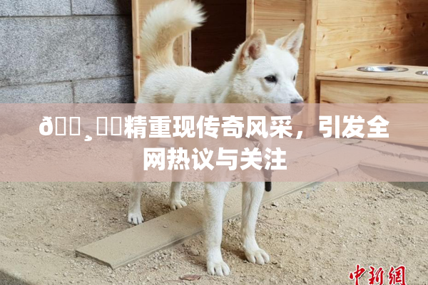 🌸‌✿精重现传奇风采，引发全网热议与关注