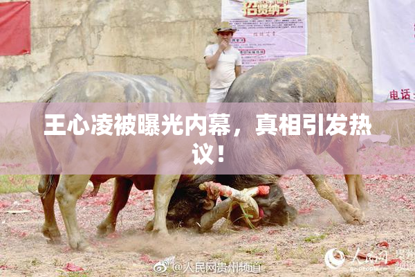 王心凌被曝光内幕，真相引发热议！