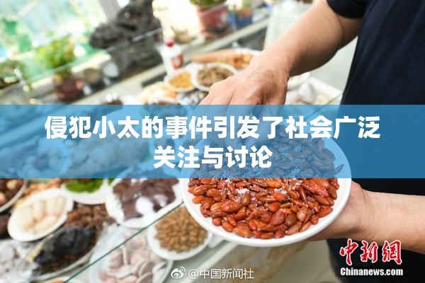 侵犯小太的事件引发了社会广泛关注与讨论