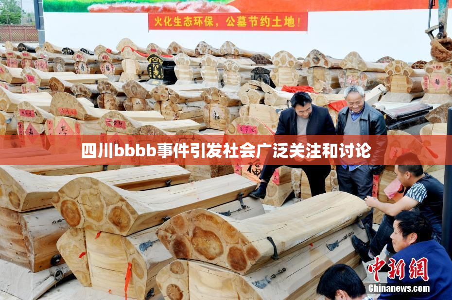 四川bbbb事件引发社会广泛关注和讨论