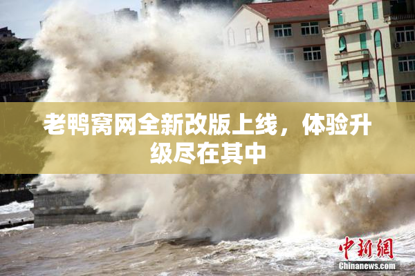 老鸭窝网全新改版上线，体验升级尽在其中