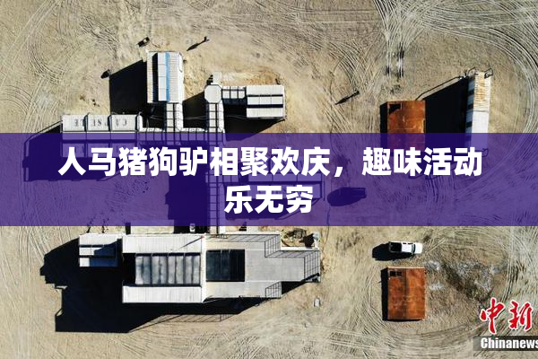 人马猪狗驴相聚欢庆，趣味活动乐无穷