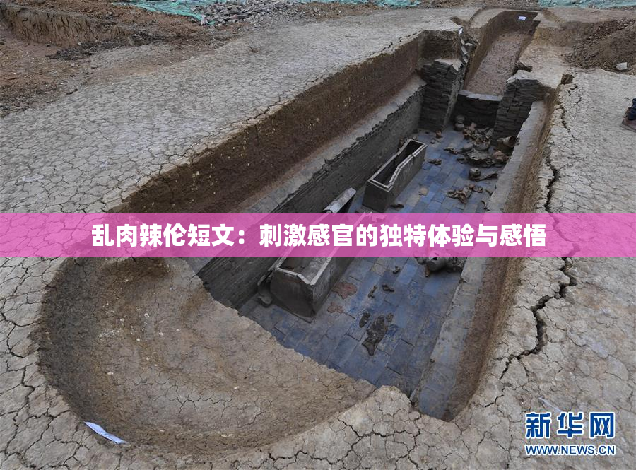 乱肉辣伦短文：刺激感官的独特体验与感悟