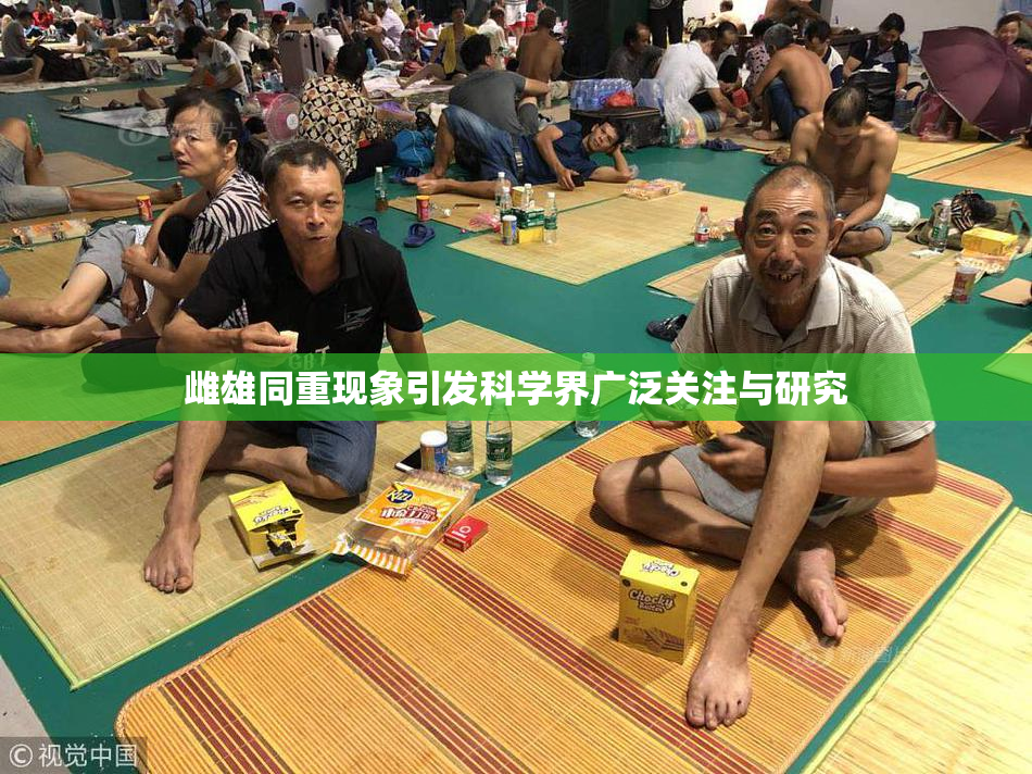 雌雄同重现象引发科学界广泛关注与研究