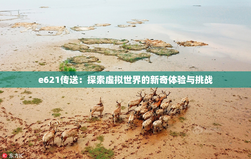 e621传送：探索虚拟世界的新奇体验与挑战