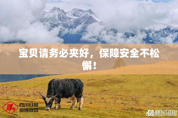 宝贝请务必夹好，保障安全不松懈！