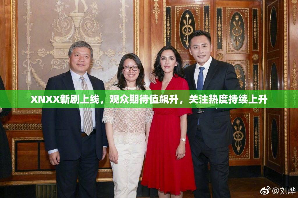 XNXX新剧上线，观众期待值飙升，关注热度持续上升