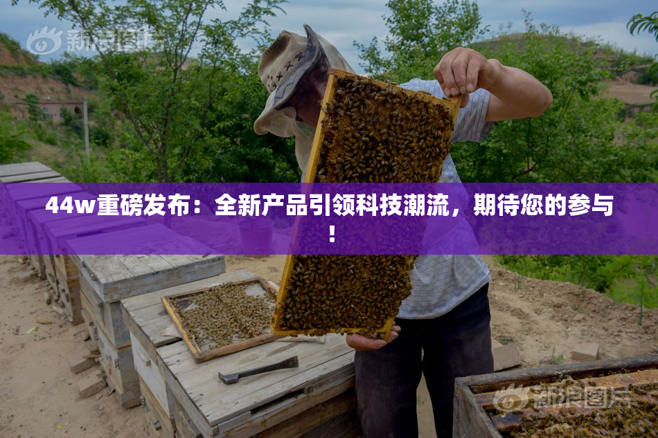 44w重磅发布：全新产品引领科技潮流，期待您的参与！
