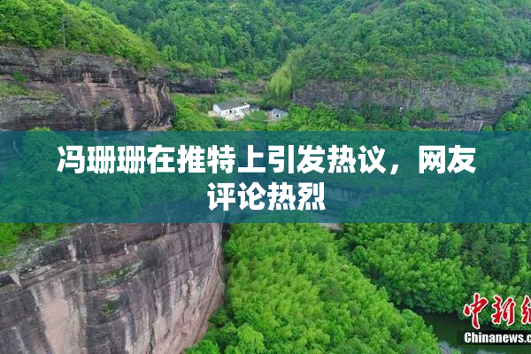 冯珊珊在推特上引发热议，网友评论热烈