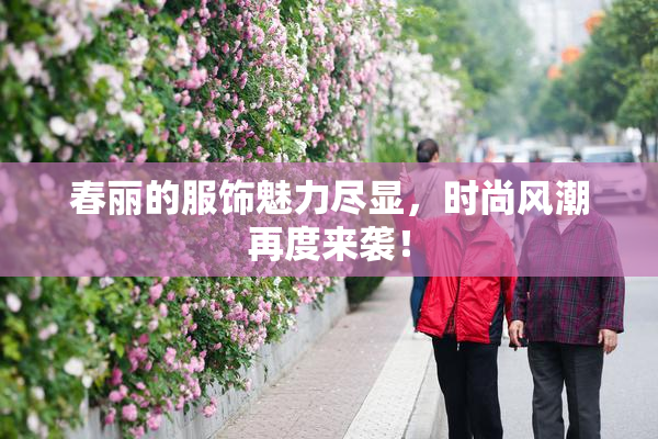 春丽的服饰魅力尽显，时尚风潮再度来袭！