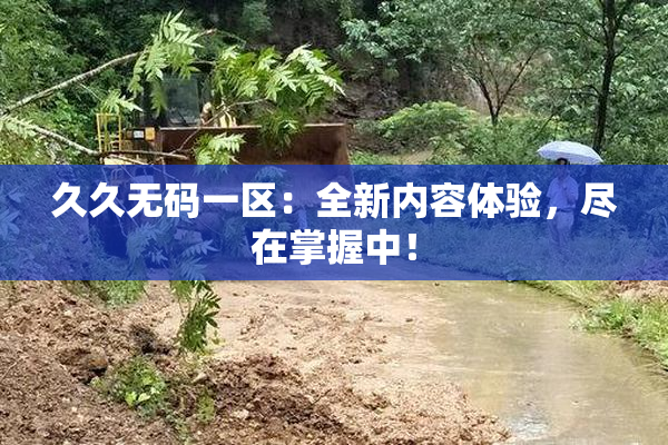 久久无码一区：全新内容体验，尽在掌握中！