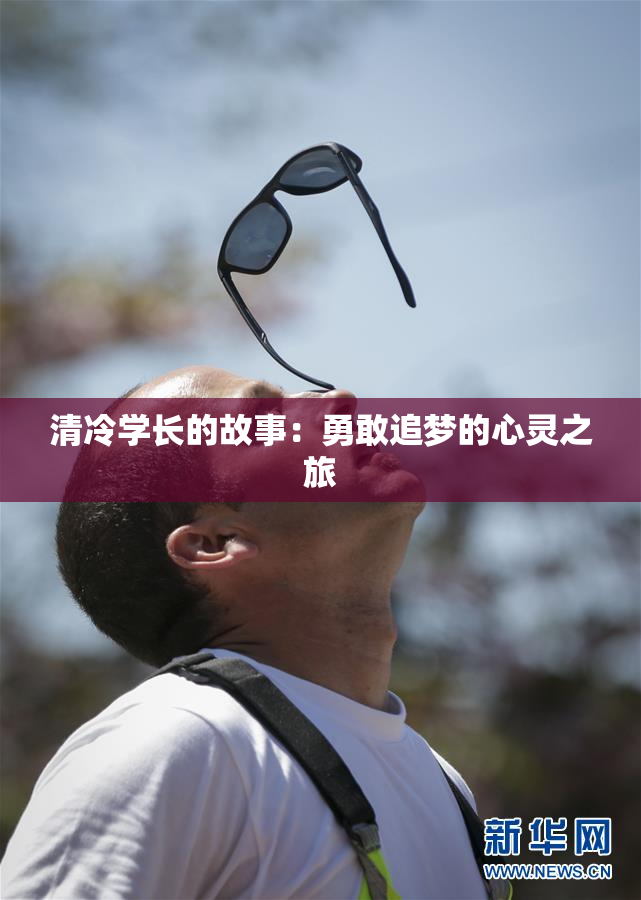 清冷学长的故事：勇敢追梦的心灵之旅