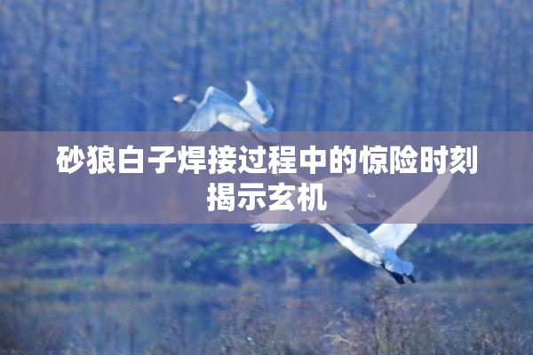 砂狼白子焊接过程中的惊险时刻揭示玄机