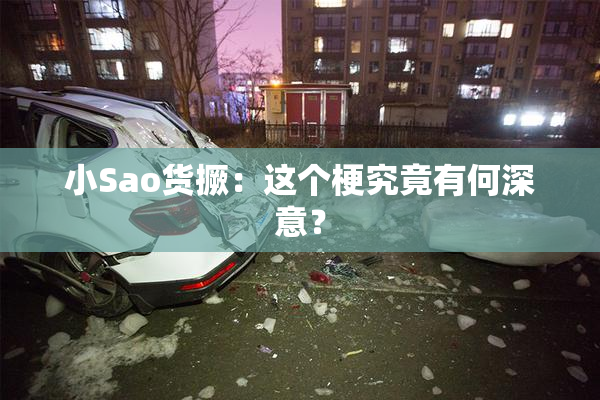 小Sao货撅：这个梗究竟有何深意？