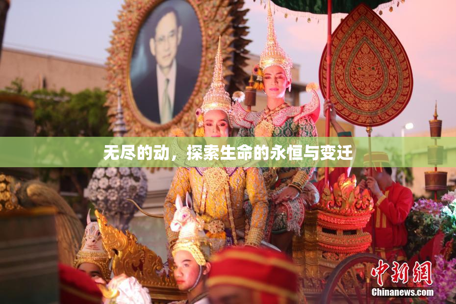 无尽的动，探索生命的永恒与变迁