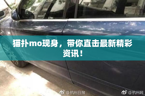 猫扑mo现身，带你直击最新精彩资讯！