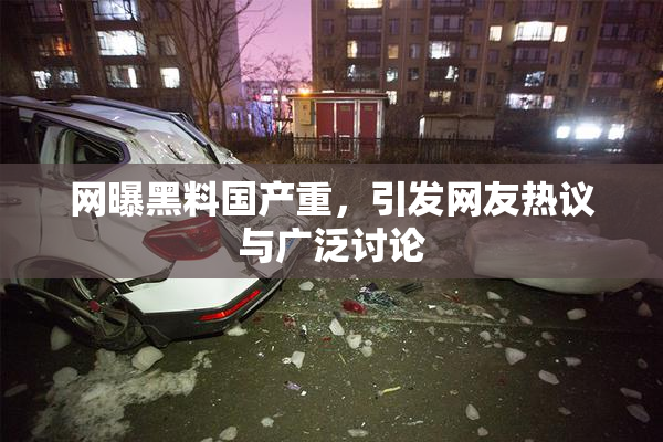 网曝黑料国产重，引发网友热议与广泛讨论