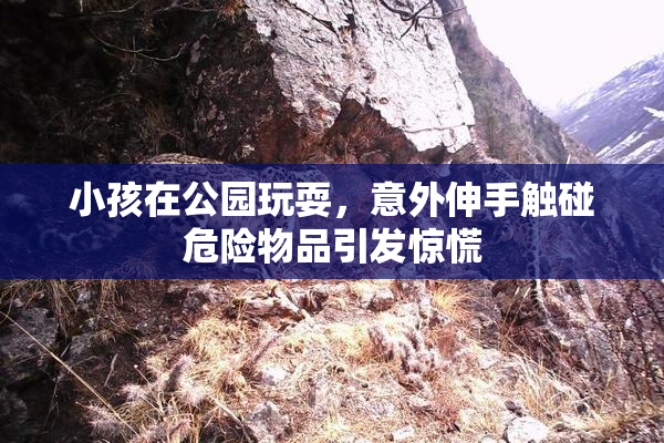 小孩在公园玩耍，意外伸手触碰危险物品引发惊慌