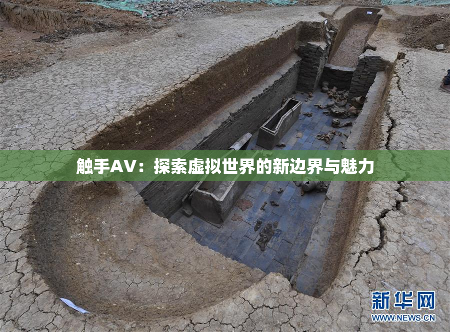触手AV：探索虚拟世界的新边界与魅力