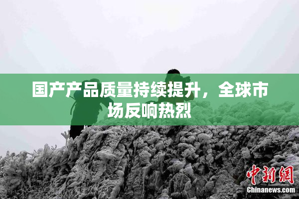 国产产品质量持续提升，全球市场反响热烈