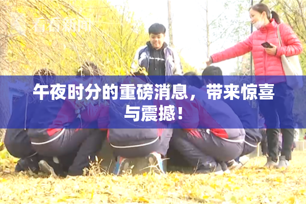 午夜时分的重磅消息，带来惊喜与震撼！