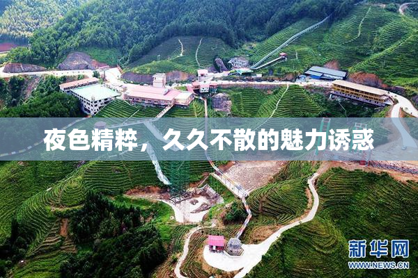 夜色精粹，久久不散的魅力诱惑