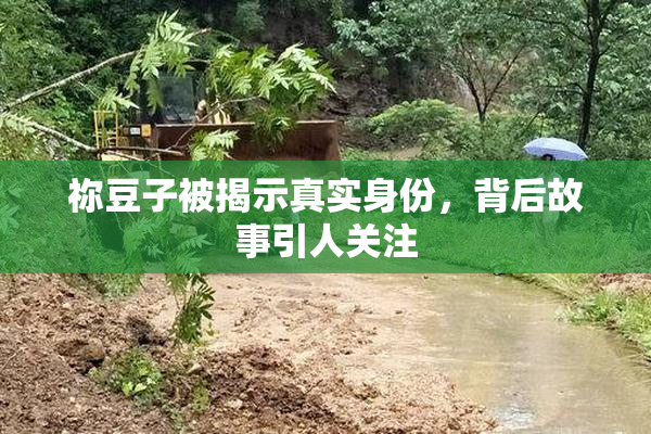 祢豆子被揭示真实身份，背后故事引人关注